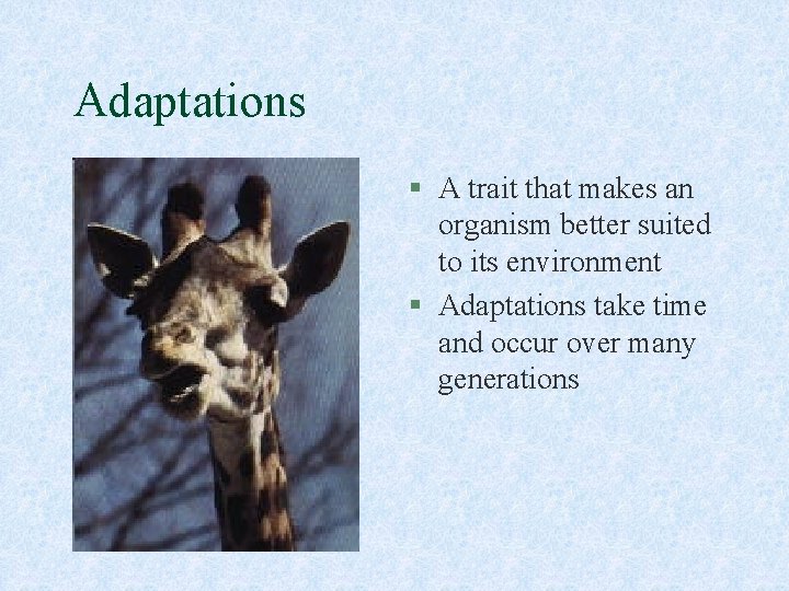 Adaptations § A trait that makes an organism better suited to its environment §