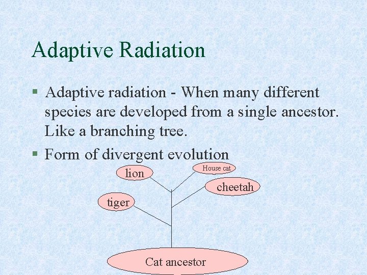 Adaptive Radiation § Adaptive radiation - When many different species are developed from a