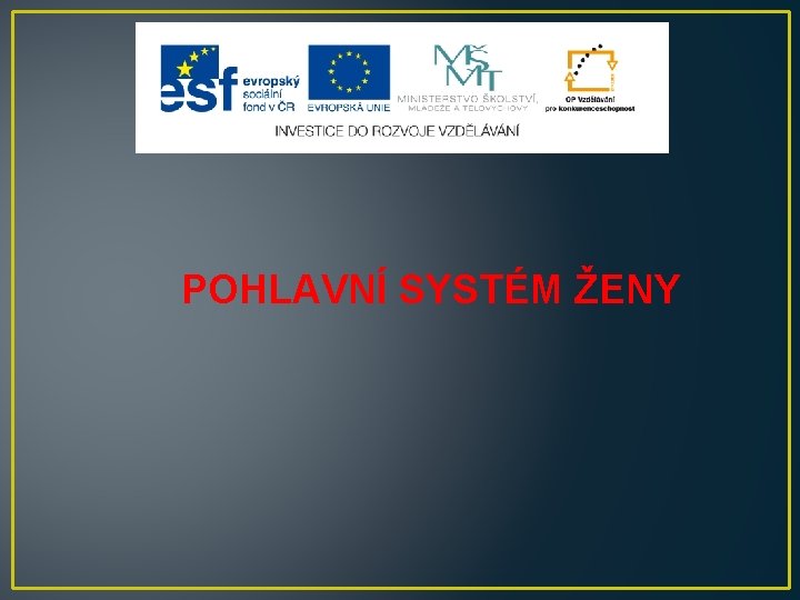 POHLAVNÍ SYSTÉM ŽENY 