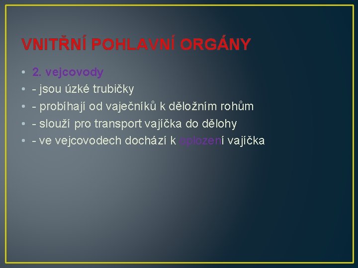 VNITŘNÍ POHLAVNÍ ORGÁNY • • • 2. vejcovody - jsou úzké trubičky - probíhají