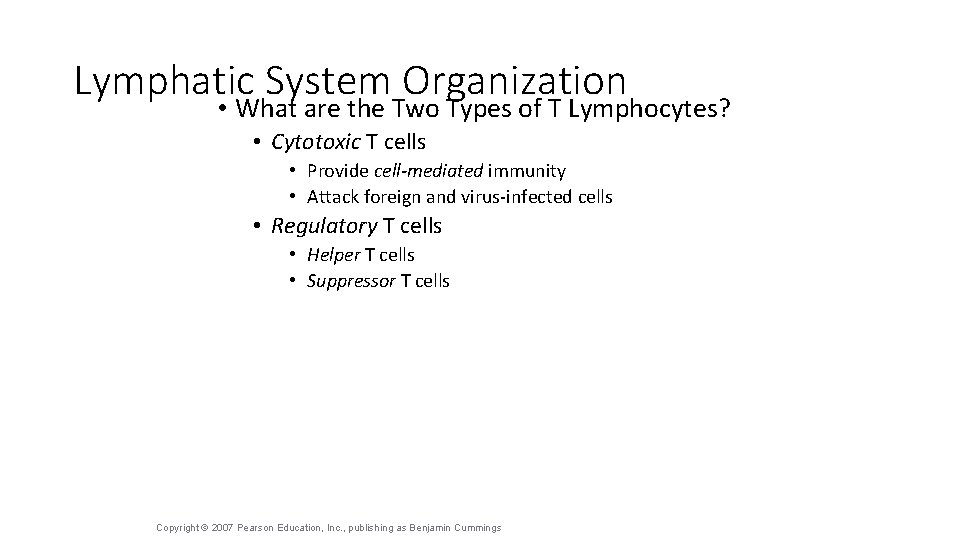 Lymphatic System Organization • What are the Two Types of T Lymphocytes? • Cytotoxic