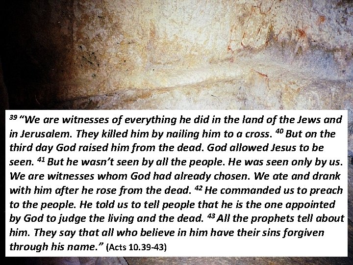 39 “We are witnesses of everything he did in the land of the Jews