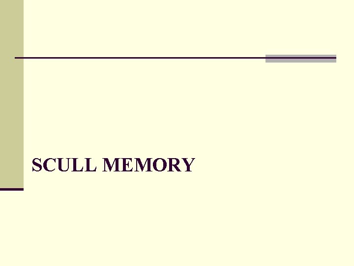 SCULL MEMORY 