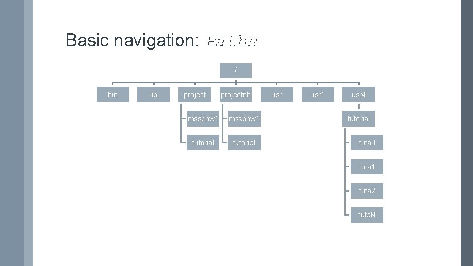 Basic navigation: Paths / bin lib projectnb mssphw 1 tutorial usr 1 usr 4