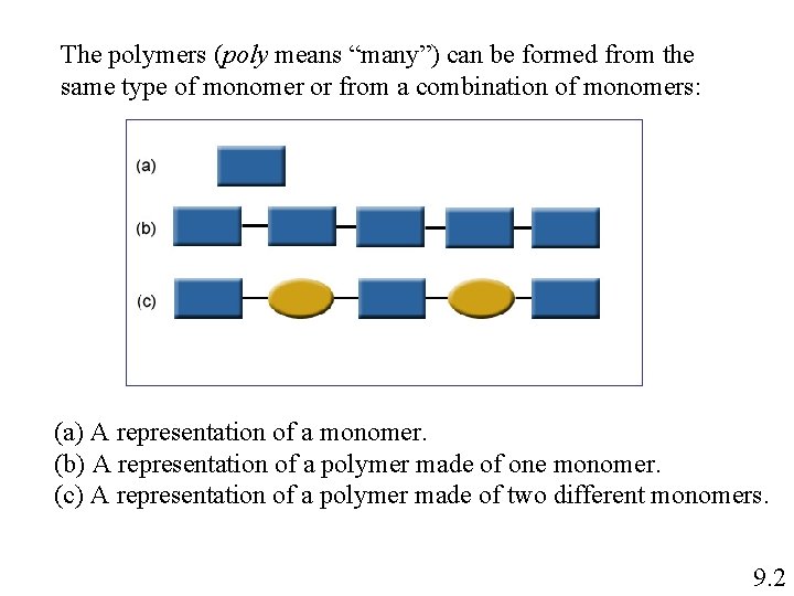 The polymers (poly means “many”) can be formed from the same type of monomer The polymers (poly means “many”) can be formed from the same type of monomer