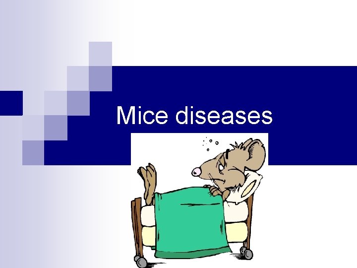 Mice diseases 