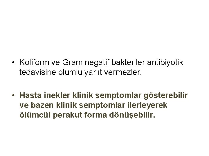  • Koliform ve Gram negatif bakteriler antibiyotik tedavisine olumlu yanıt vermezler. • Hasta