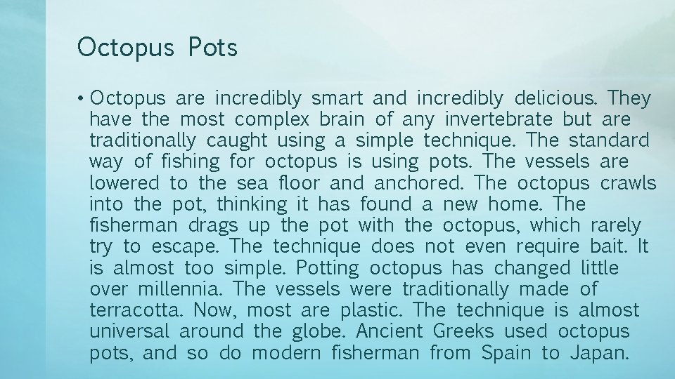 Octopus Pots • Octopus are incredibly smart and incredibly delicious. They have the most