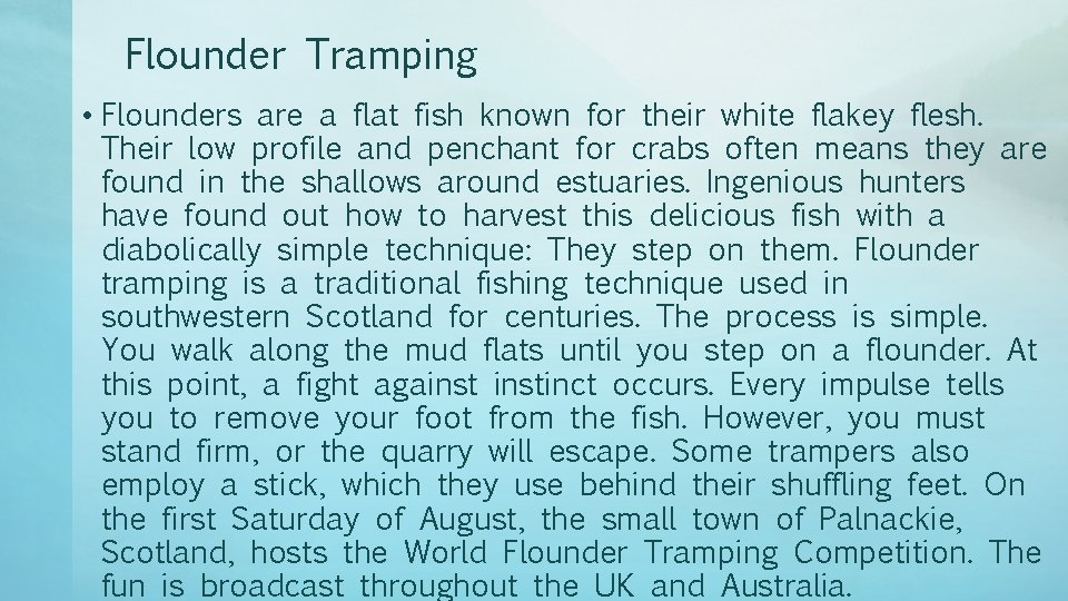 Flounder Tramping • Flounders are a flat fish known for their white flakey flesh.