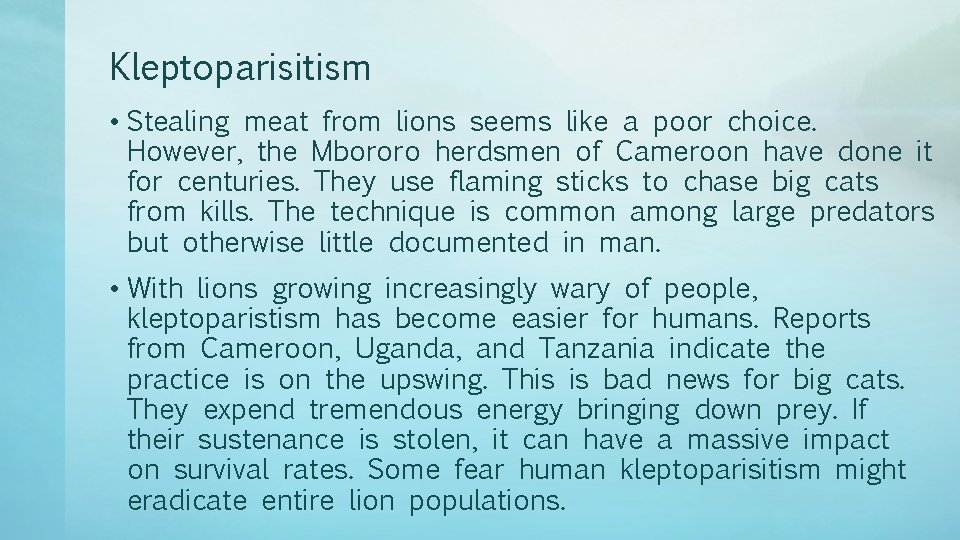 Kleptoparisitism • Stealing meat from lions seems like a poor choice. However, the Mbororo