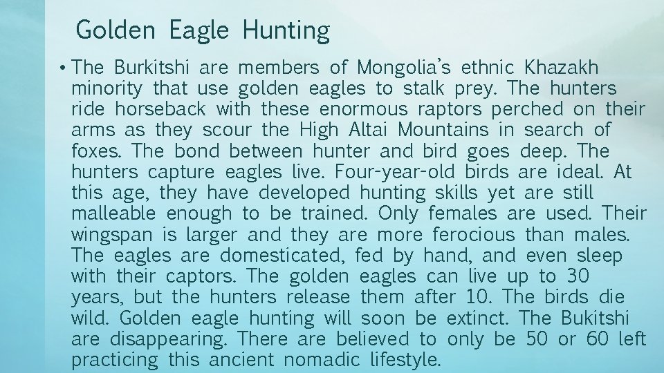 Golden Eagle Hunting • The Burkitshi are members of Mongolia’s ethnic Khazakh minority that