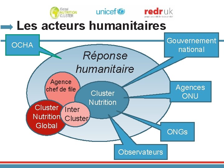 Les acteurs humanitaires OCHA Réponse humanitaire Agence chef de file Cluster Inter Nutrition Cluster