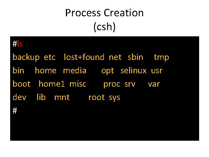 Process Creation (csh) #ls backup etc lost+found net sbin tmp bin home media opt