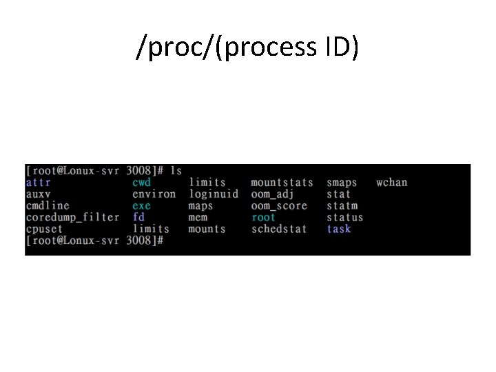 /proc/(process ID) 