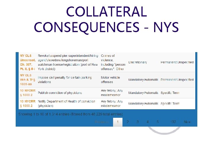 COLLATERAL CONSEQUENCES - NYS 
