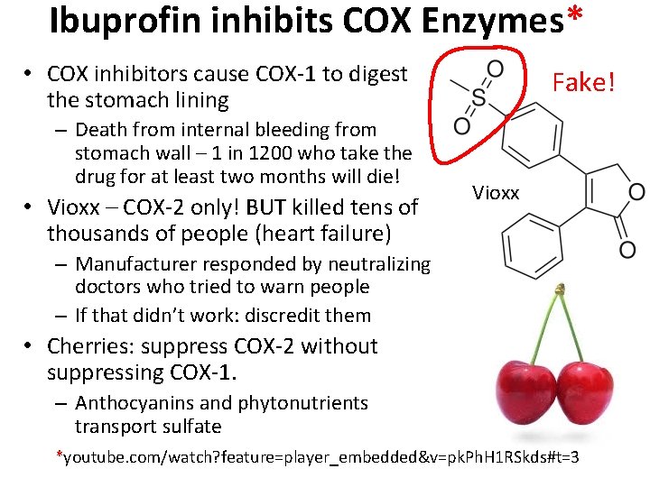 Ibuprofin inhibits COX Enzymes* • COX inhibitors cause COX-1 to digest the stomach lining