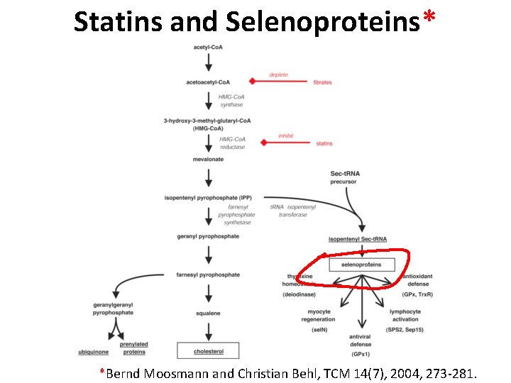 Statins and Selenoproteins* *Bernd Moosmann and Christian Behl, TCM 14(7), 2004, 273 -281. 