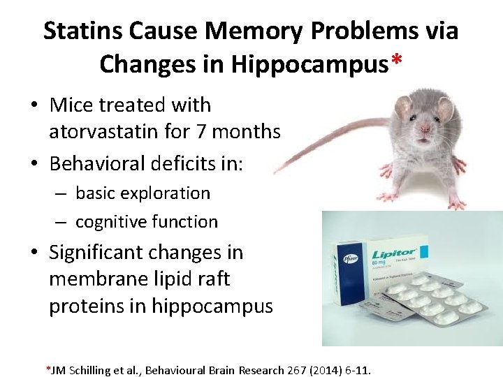 Statins Cause Memory Problems via Changes in Hippocampus* • Mice treated with atorvastatin for
