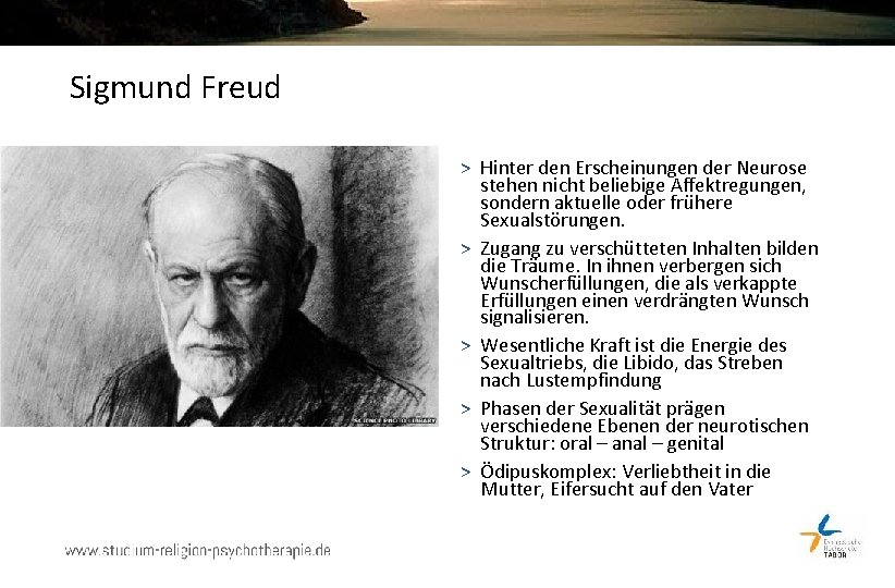 Sigmund Freud > Hinter den Erscheinungen der Neurose stehen nicht beliebige Affektregungen, sondern aktuelle