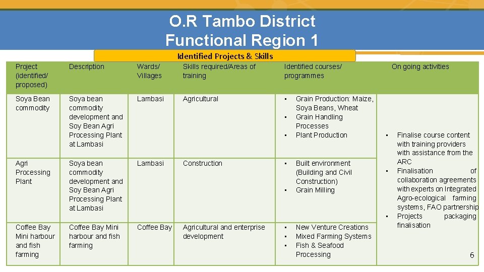 O. R Tambo District Functional Region 1 Identified Projects & Skills Project (identified/ proposed)