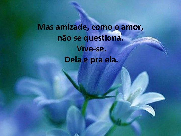 Mas amizade, como o amor, não se questiona. Vive-se. Dela e pra ela. 