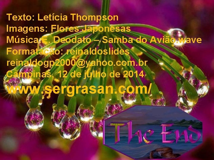 Texto: Letícia Thompson Imagens: Flores Japonesas Música: E. Deodato – Samba do Avião. wave