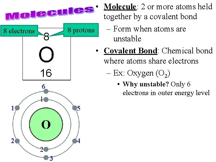  • Molecule: 2 or more atoms held together by a covalent bond –