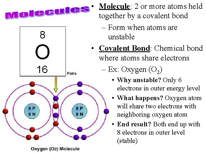 • Molecule: 2 or more atoms held together by a covalent bond –