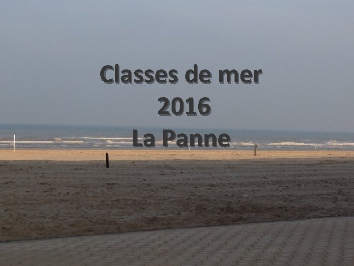 Classes de mer 2016 La Panne 