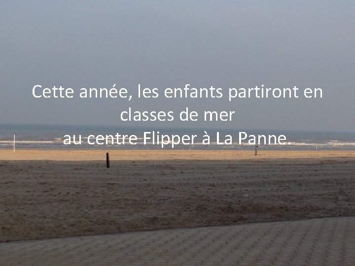 Cette année, les enfants partiront en classes de mer au centre Flipper à La