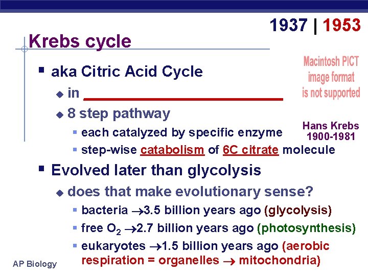 Krebs cycle 1937 | 1953 § aka Citric Acid Cycle in _____________ u 8