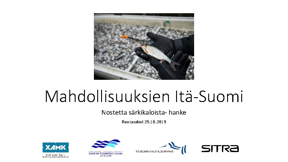 Mahdollisuuksien Itä-Suomi Nostetta särkikaloista- hanke Rantasalmi 29. 10. 2019 