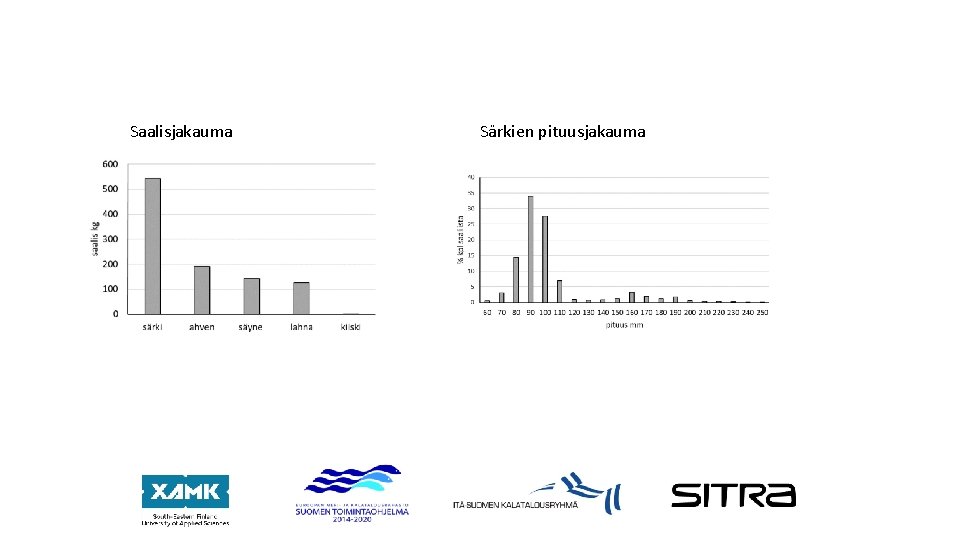 Saalisjakauma Särkien pituusjakauma 