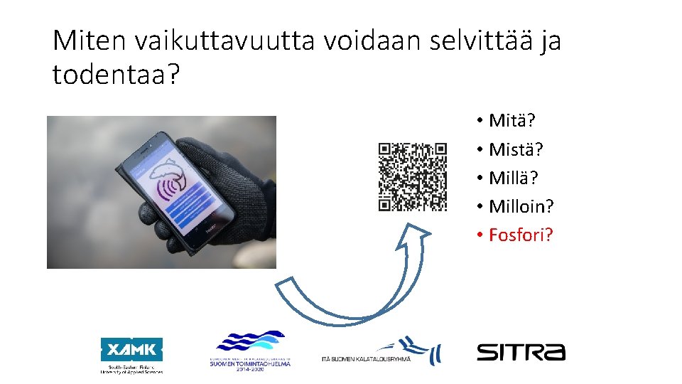 Miten vaikuttavuutta voidaan selvittää ja todentaa? • Mitä? • Mistä? • Milloin? • Fosfori?