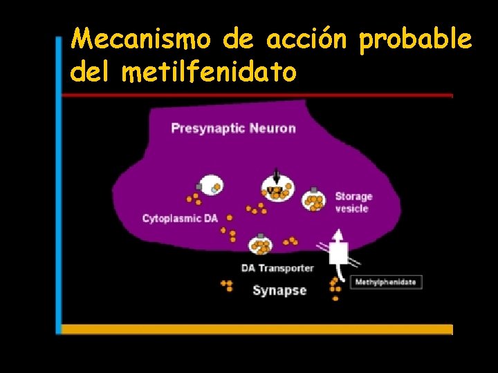 Mecanismo de acción probable del metilfenidato 