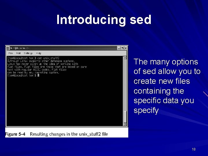 Introducing sed The many options of sed allow you to create new files containing Introducing sed The many options of sed allow you to create new files containing