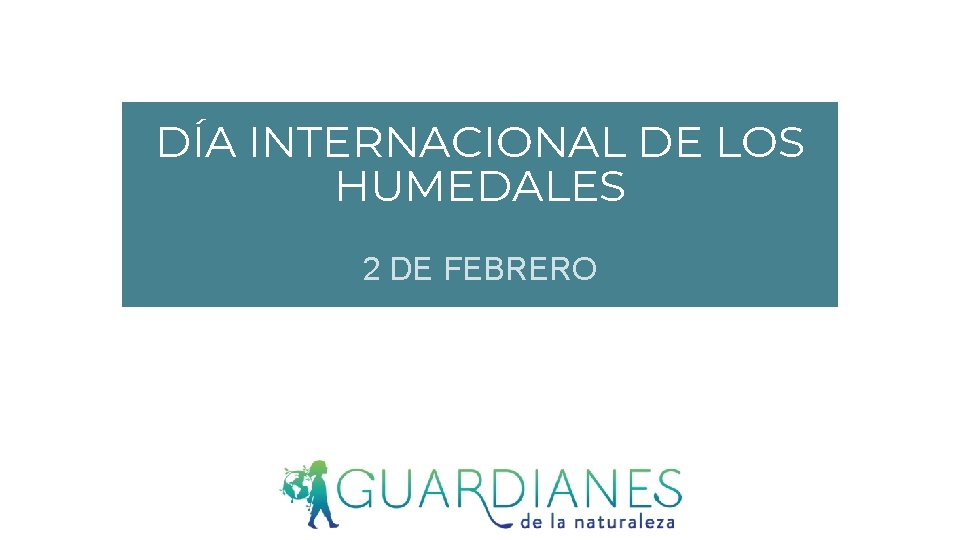 DÍA INTERNACIONAL DE LOS HUMEDALES 2 DE FEBRERO 