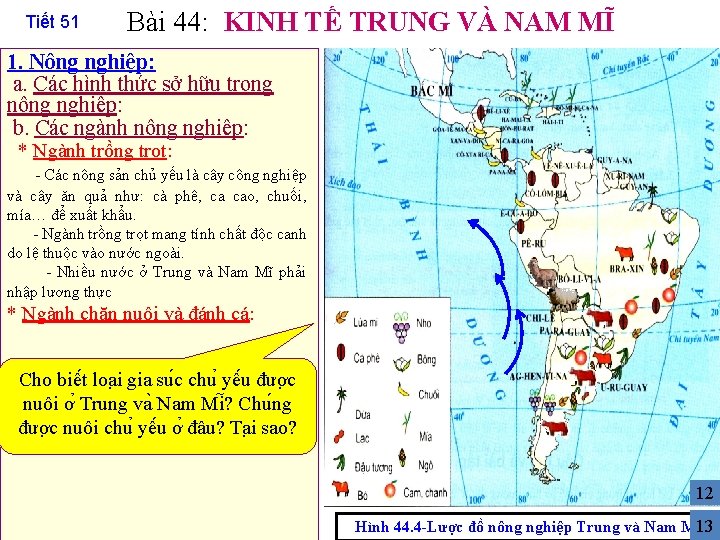 Tiết 51 Bài 44: KINH TẾ TRUNG VÀ NAM MĨ 1. Nông nghiệp: a.