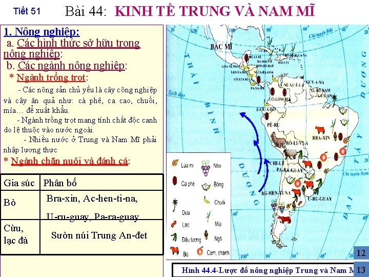 Tiết 51 Bài 44: KINH TẾ TRUNG VÀ NAM MĨ 1. Nông nghiệp: a.