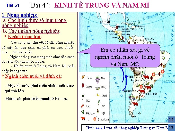 Tiết 51 Bài 44: KINH TẾ TRUNG VÀ NAM MĨ 1. Nông nghiệp: a.