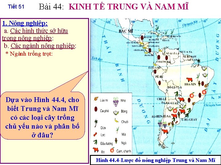 Tiết 51 Bài 44: KINH TẾ TRUNG VÀ NAM MĨ 1. Nông nghiệp: a.