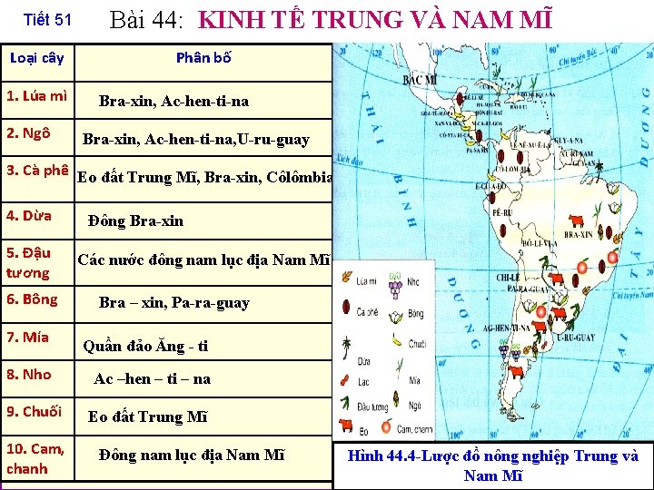 Tiết 51 Loại cây 1. Lúa mì 2. Ngô Bài 44: KINH TẾ TRUNG