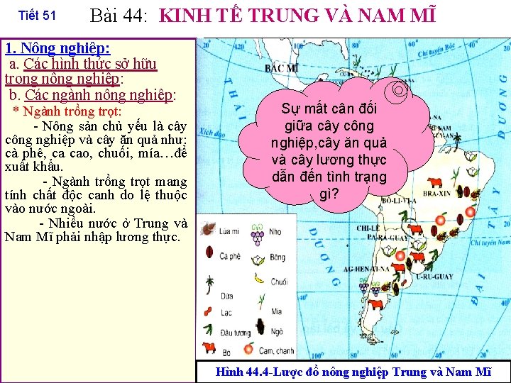 Tiết 51 Bài 44: KINH TẾ TRUNG VÀ NAM MĨ 1. Nông nghiệp: a.