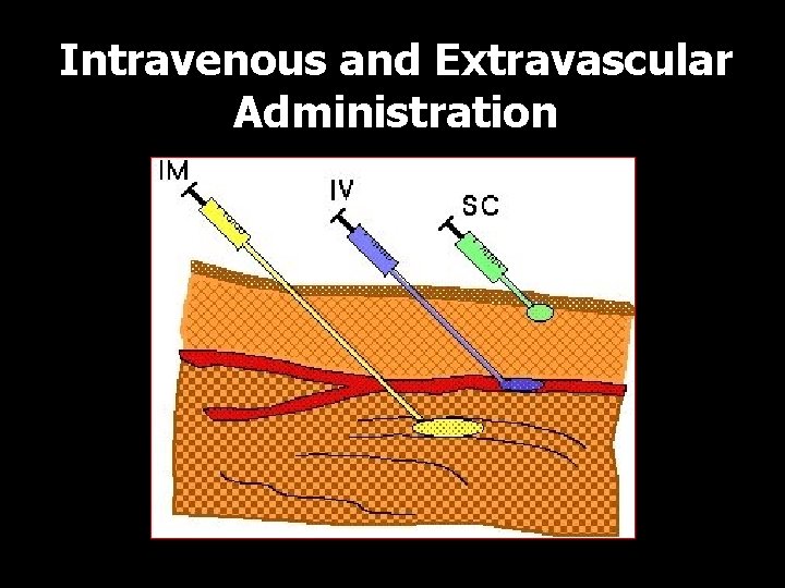 Intravenous and Extravascular Administration IV, IM, SC 14 