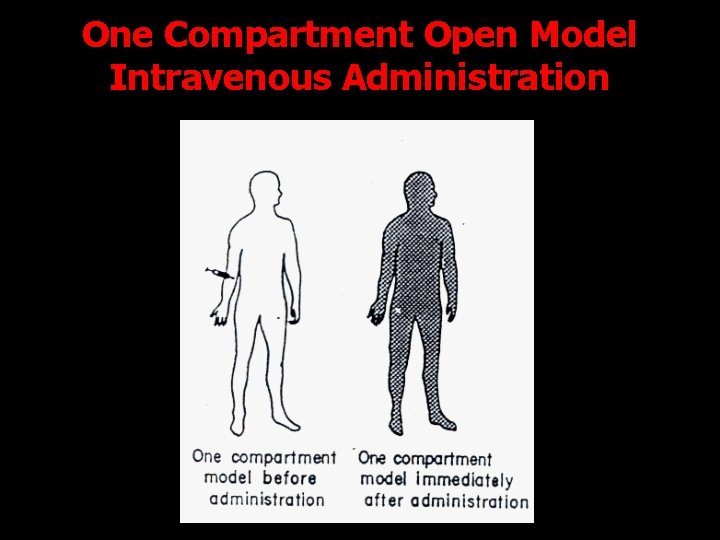 One Compartment Open Model Intravenous Administration 16 