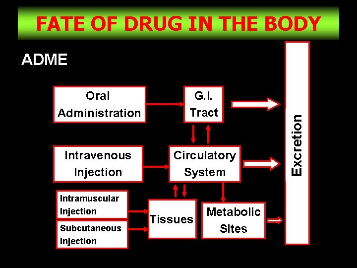 FATE OF DRUG IN THE BODY Oral Administration G. I. Tract Intravenous Injection Circulatory