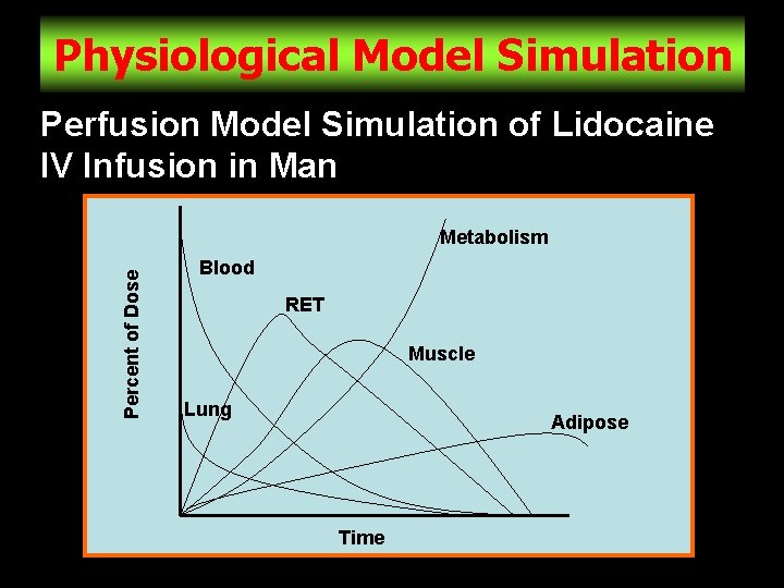 Physiological Model Simulation Perfusion Model Simulation of Lidocaine IV Infusion in Man Percent of