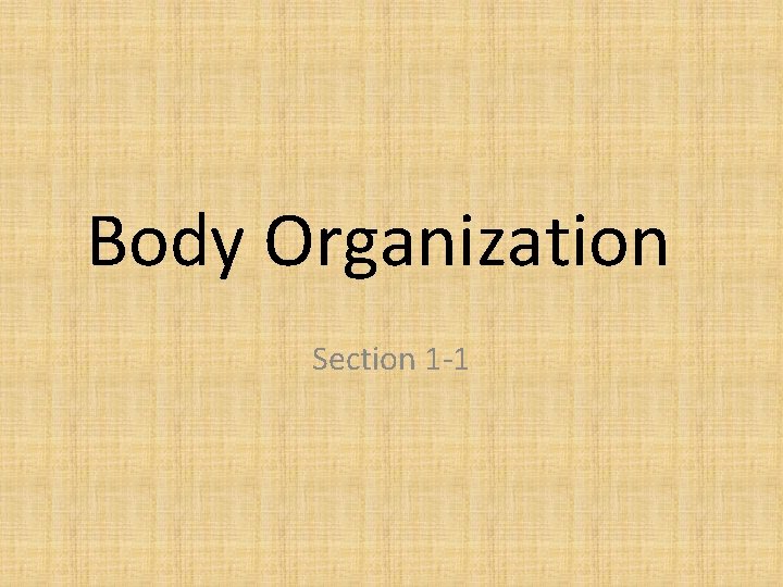 Body Organization Section 1 -1 