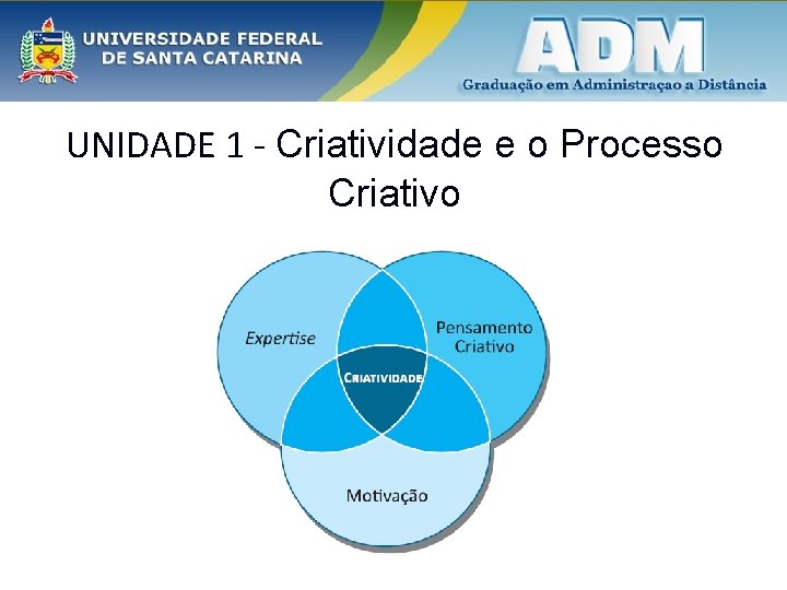 UNIDADE 1 - Criatividade e o Processo Criativo 