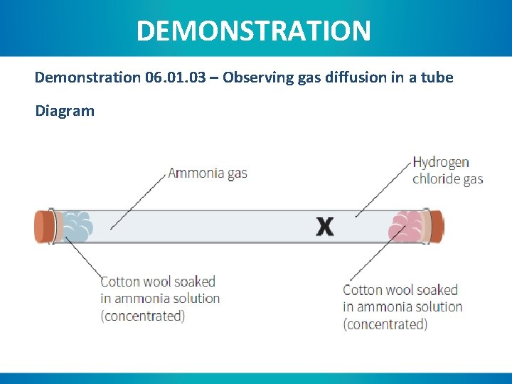 DEMONSTRATION Demonstration 06. 01. 03 – Observing gas diffusion in a tube Diagram 